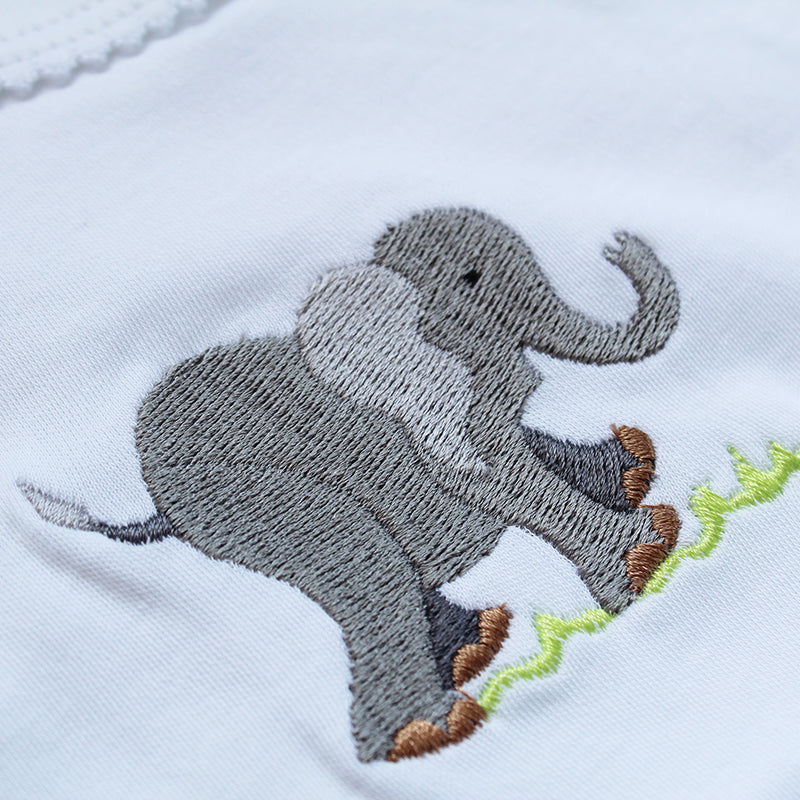 Elephant close up detail